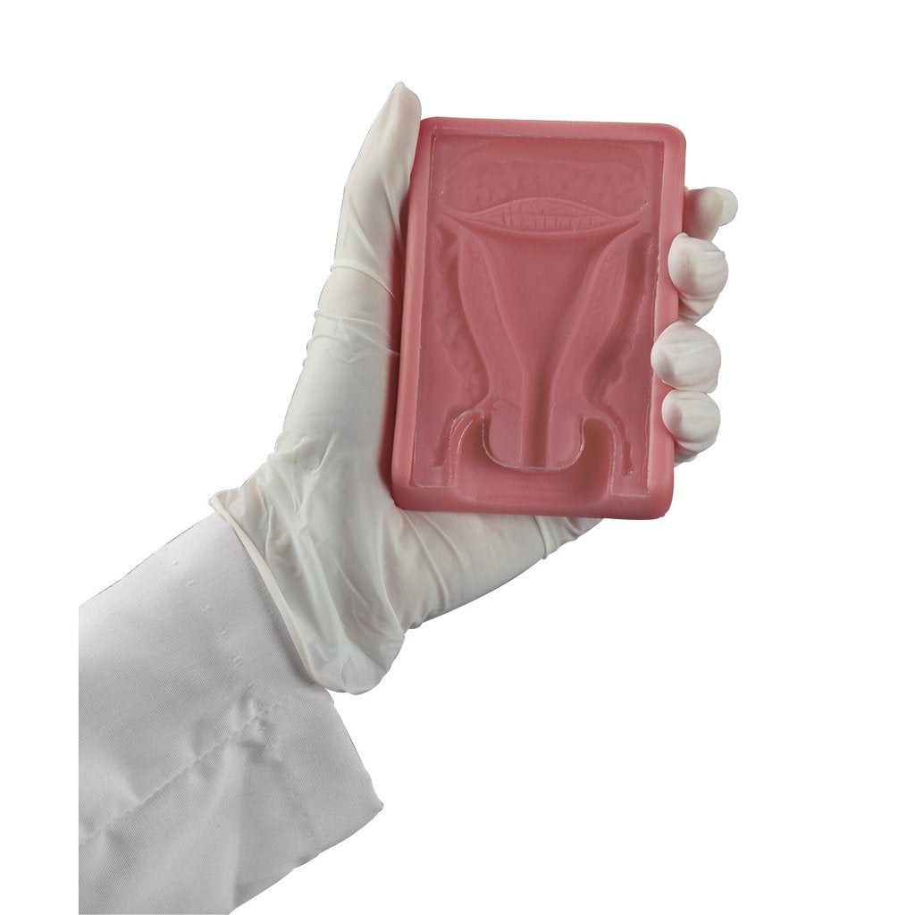 Iud Trainer