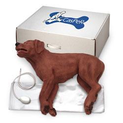 Casper CPR Dog