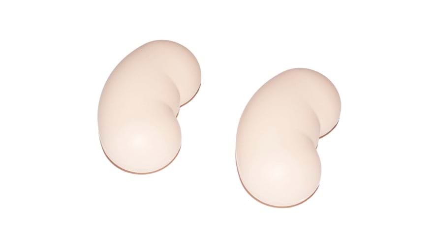 Abdominal Examination Kidneys (x2)