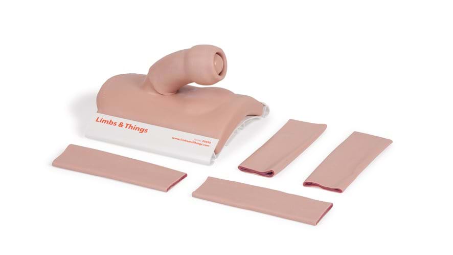 Adult Male Circumcision Model - Light