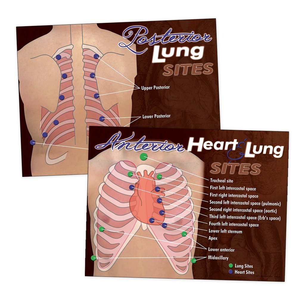 Auscultation Posters, Set