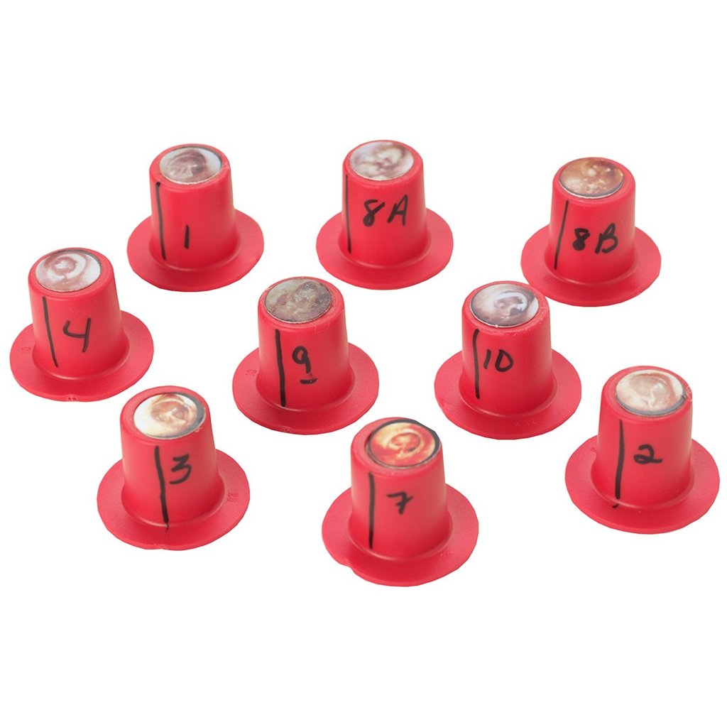 Diagnostic Cartridges/St 9