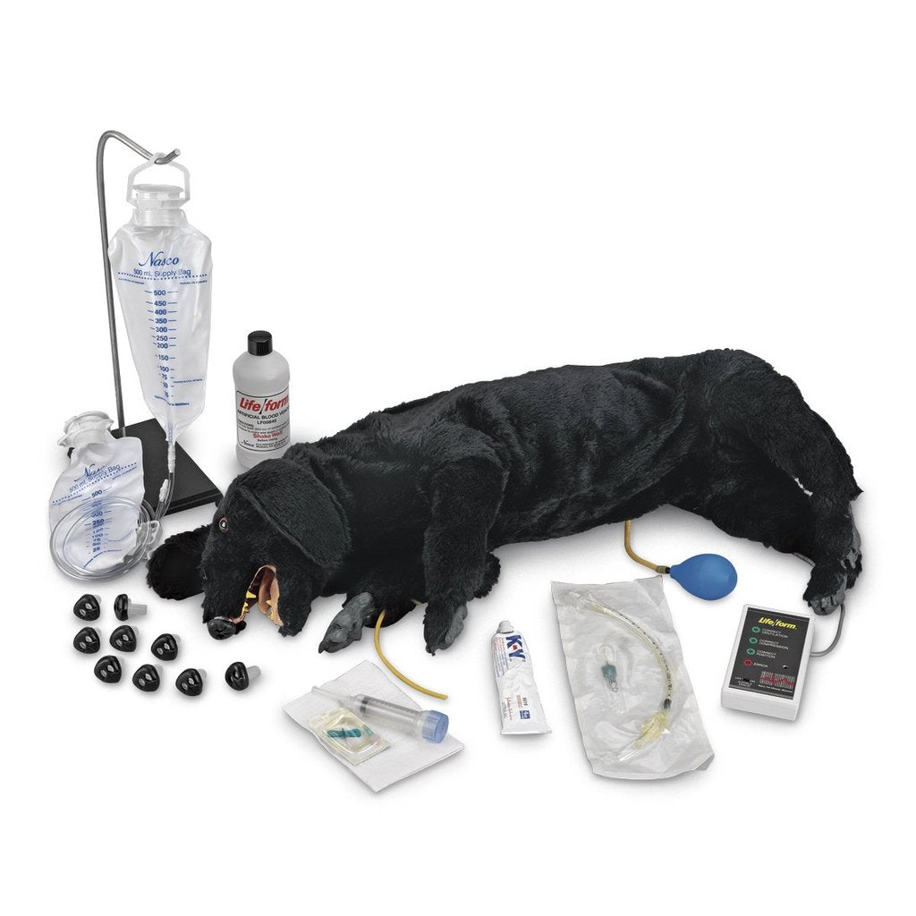 Dog Cpr Advanced Sanitary