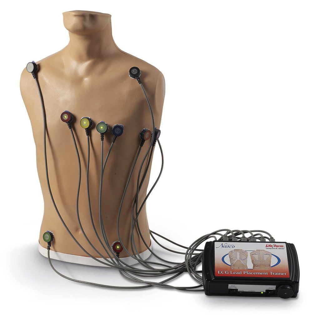Trainer Ecg Plcmnt 15 Lead