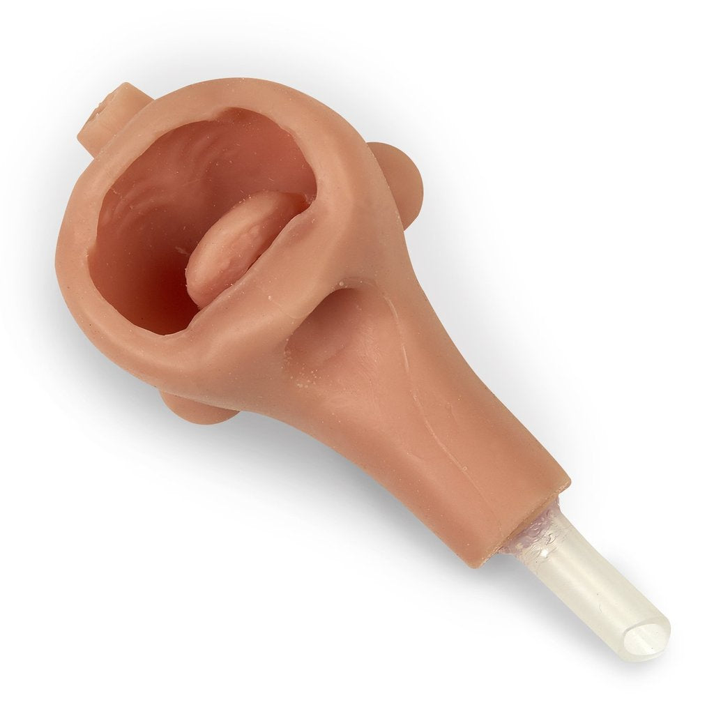 Airway Replacement Newborn