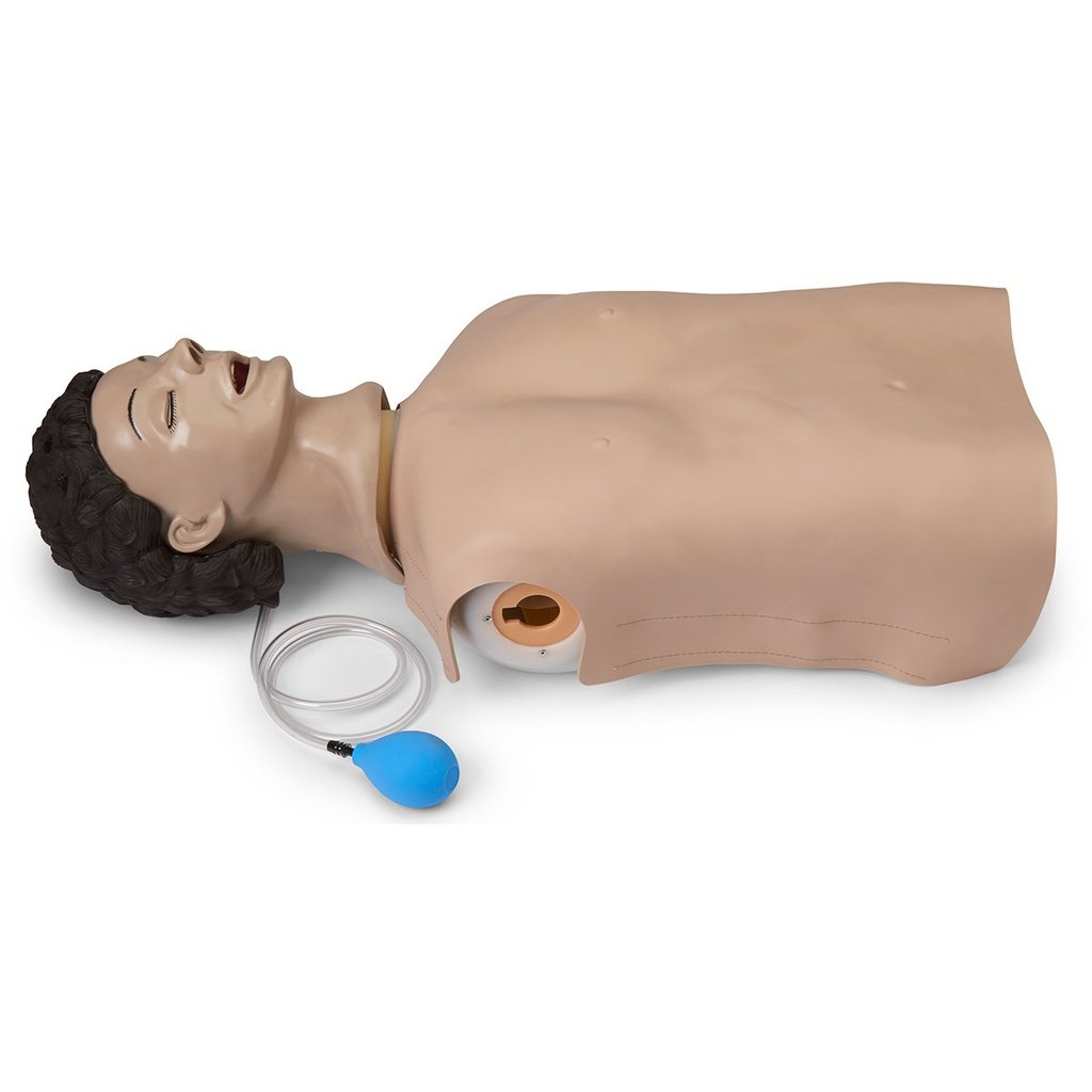 Airway Mgt Trainer Manikin