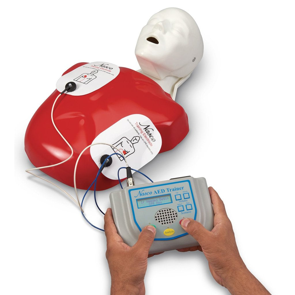 Aed Trainer W/Basic Buddy