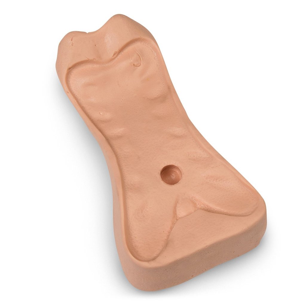 Sternum Foam-Bariatric Cpr