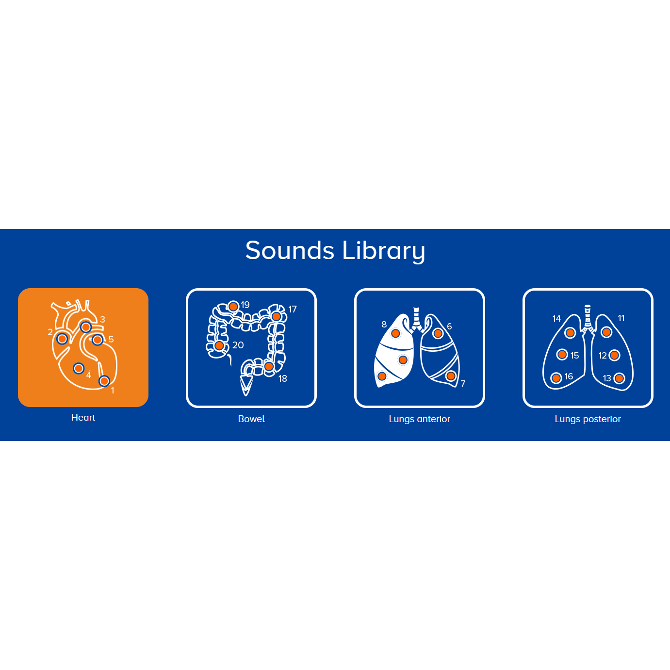 MATT: MedVision Auscultation Task Trainer
