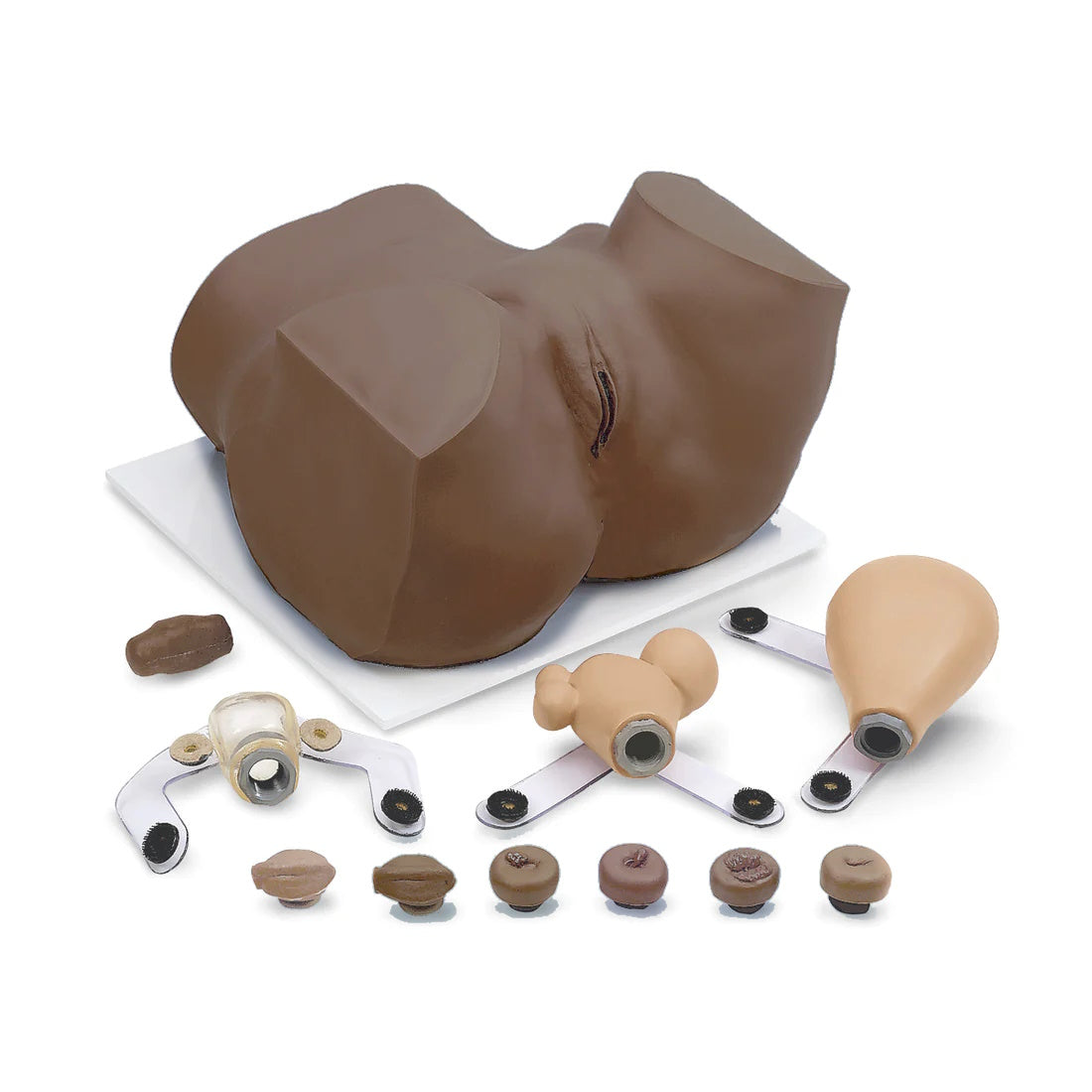 Eva I Pelvic Exam Simulator