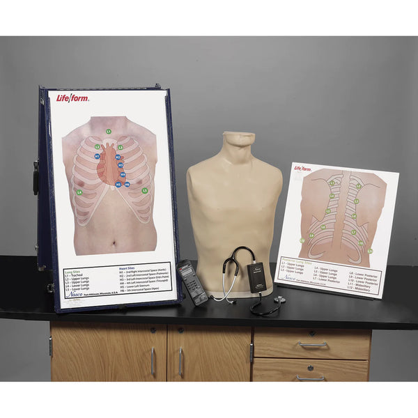 Deluxe Life/form®Auscultation Training Station