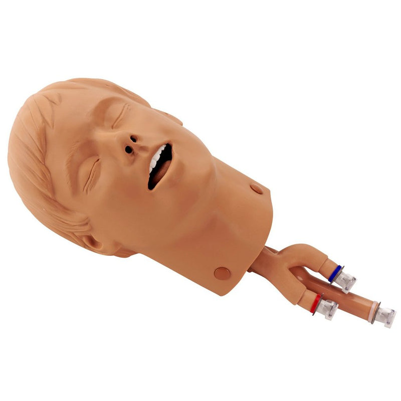 INTUBATION HEAD (ALS/BLS)
