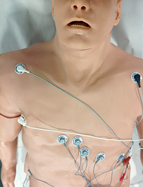 12-Lead Arrhythmia Simulator with Manikin Overlay Medium Physio