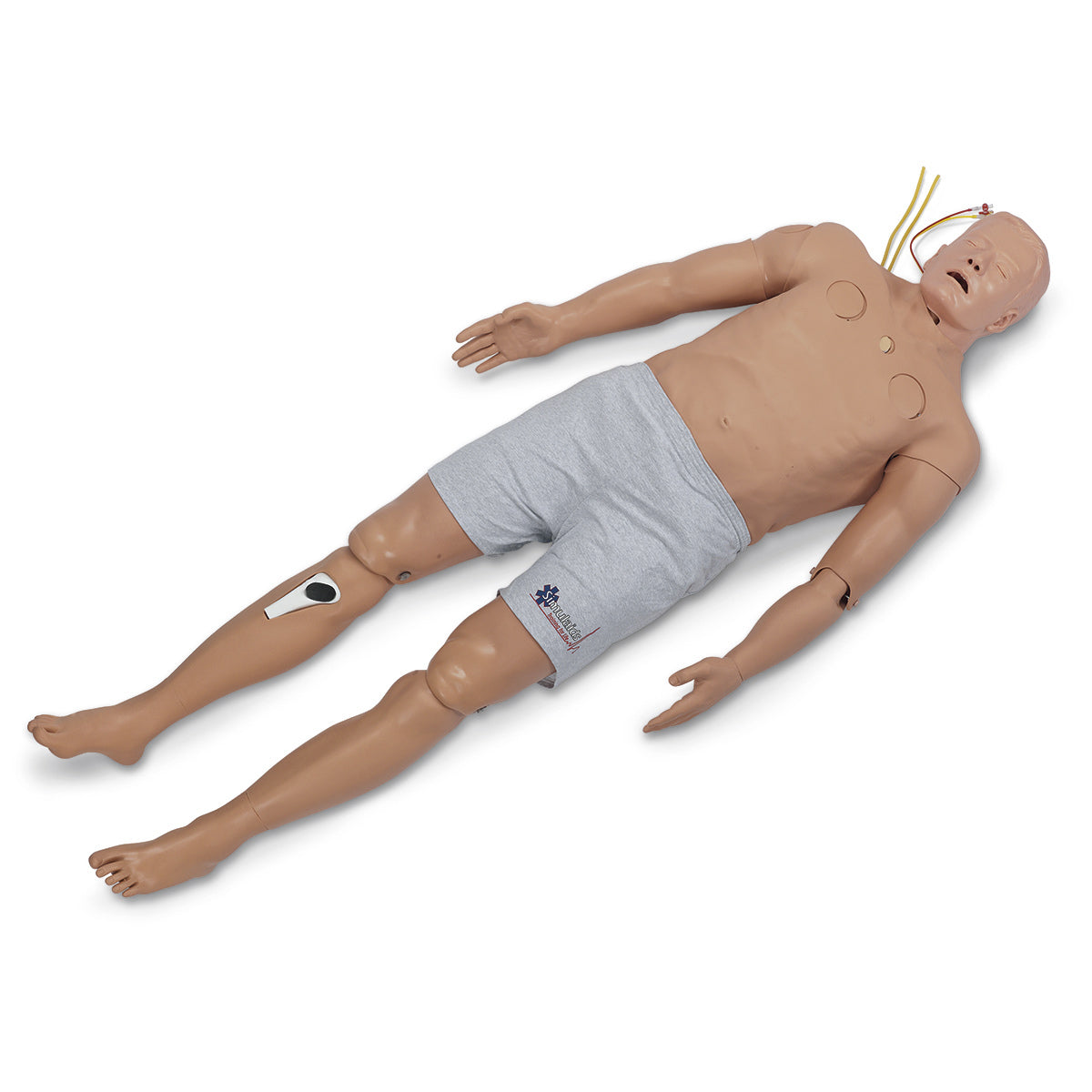 Phtls Full Body Unweighted