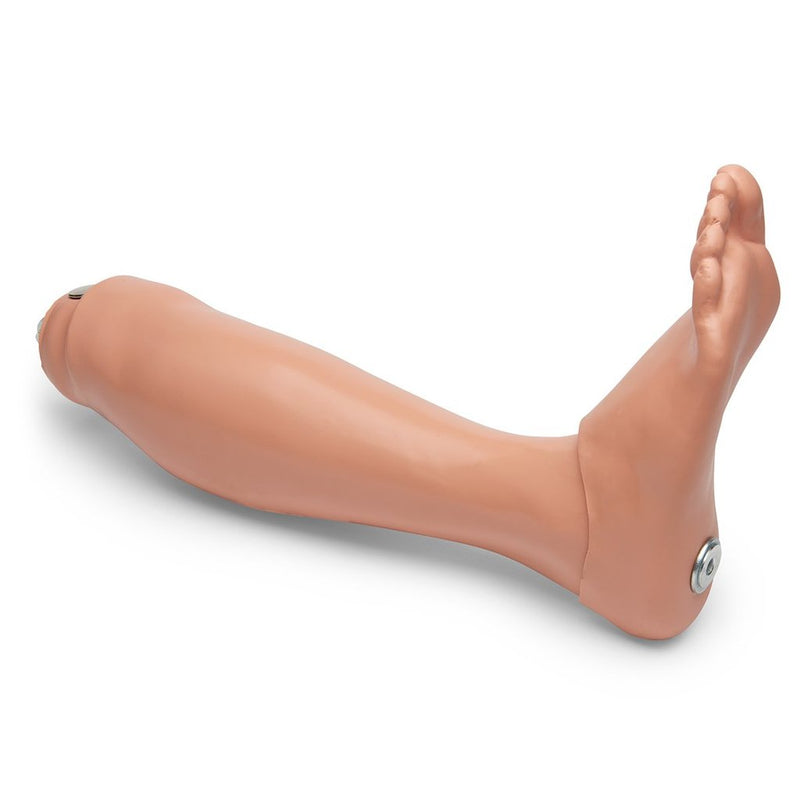 Rght.Lower Leg&Foot 105
