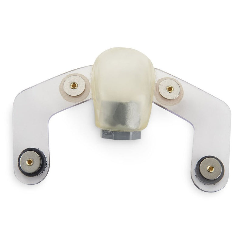 Replacement Normal Uterus