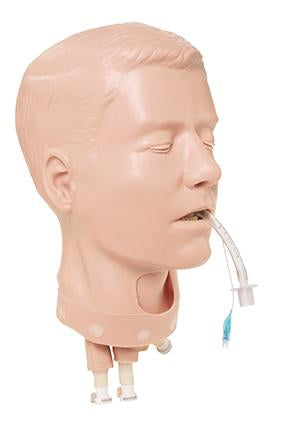 Adult Pda Deluxe Airway Head
