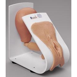New Female Cath Model On Board
