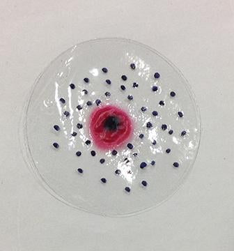 Intermediate Wound "Flake"