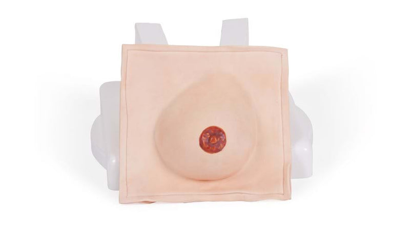 Examination & Diagnostic Breast Skin