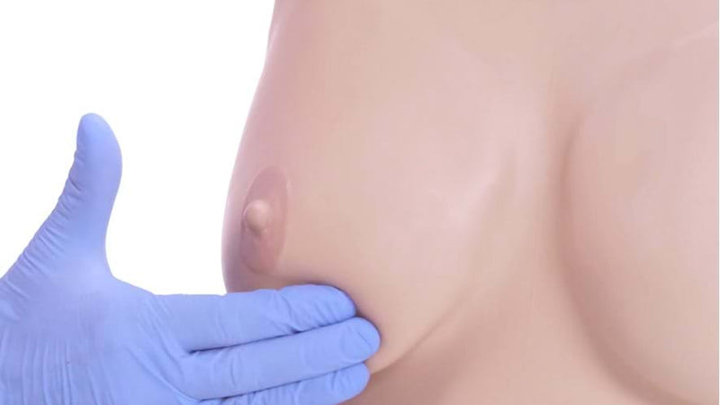 Breast Examination Trainer - Basic