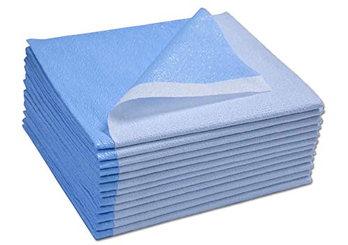 Disposable Flat Drape Sheet - Case of 50