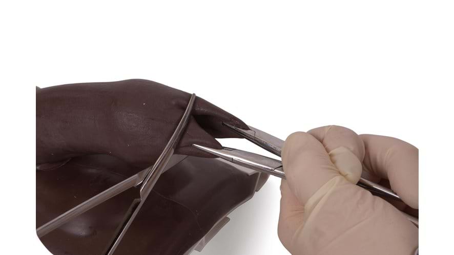 Circumcision Penis - Dark