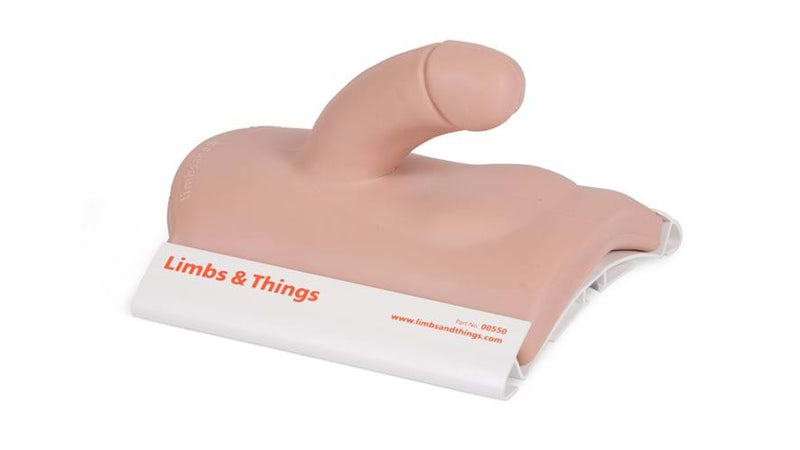 Adult Male Circumcision Model - Light