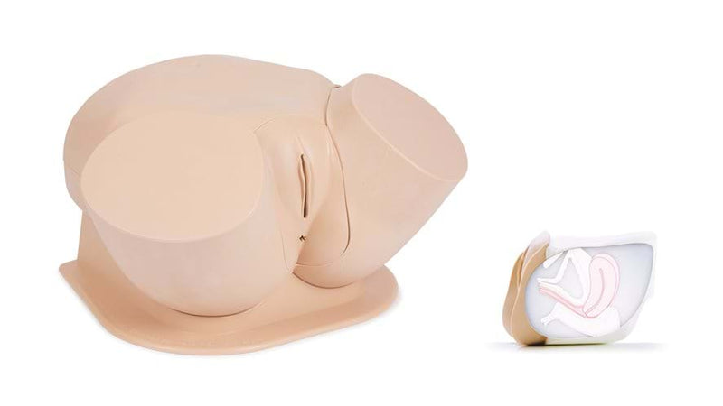 Clinical Female Pelvic Trainer Mk 3 - Standard