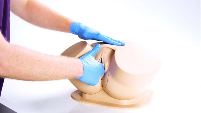 Clinical Female Pelvic Trainer Mk 3 - Standard