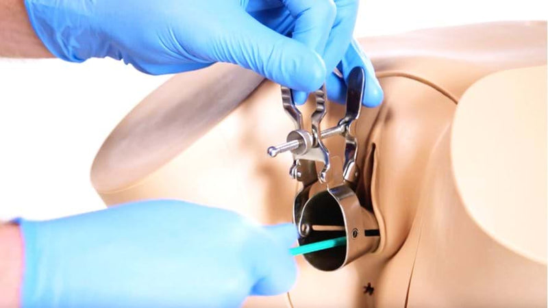 Clinical Female Pelvic Trainer Mk 3 - Standard