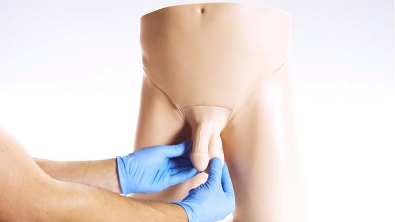 Clinical Male Pelvic Trainer (CMPT) Mk 2 - Standard