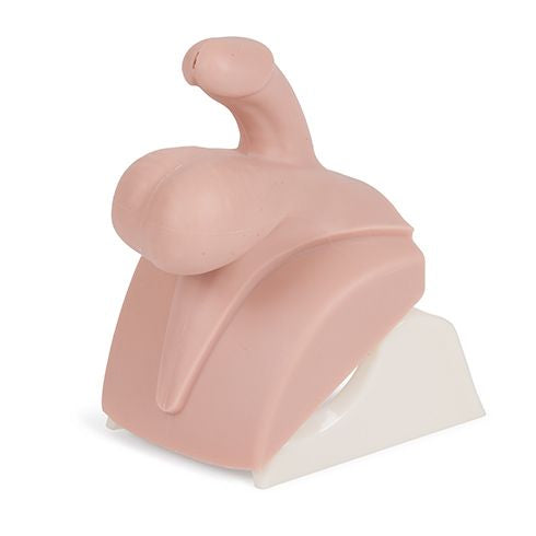 CMPT Module 2: Varicocele