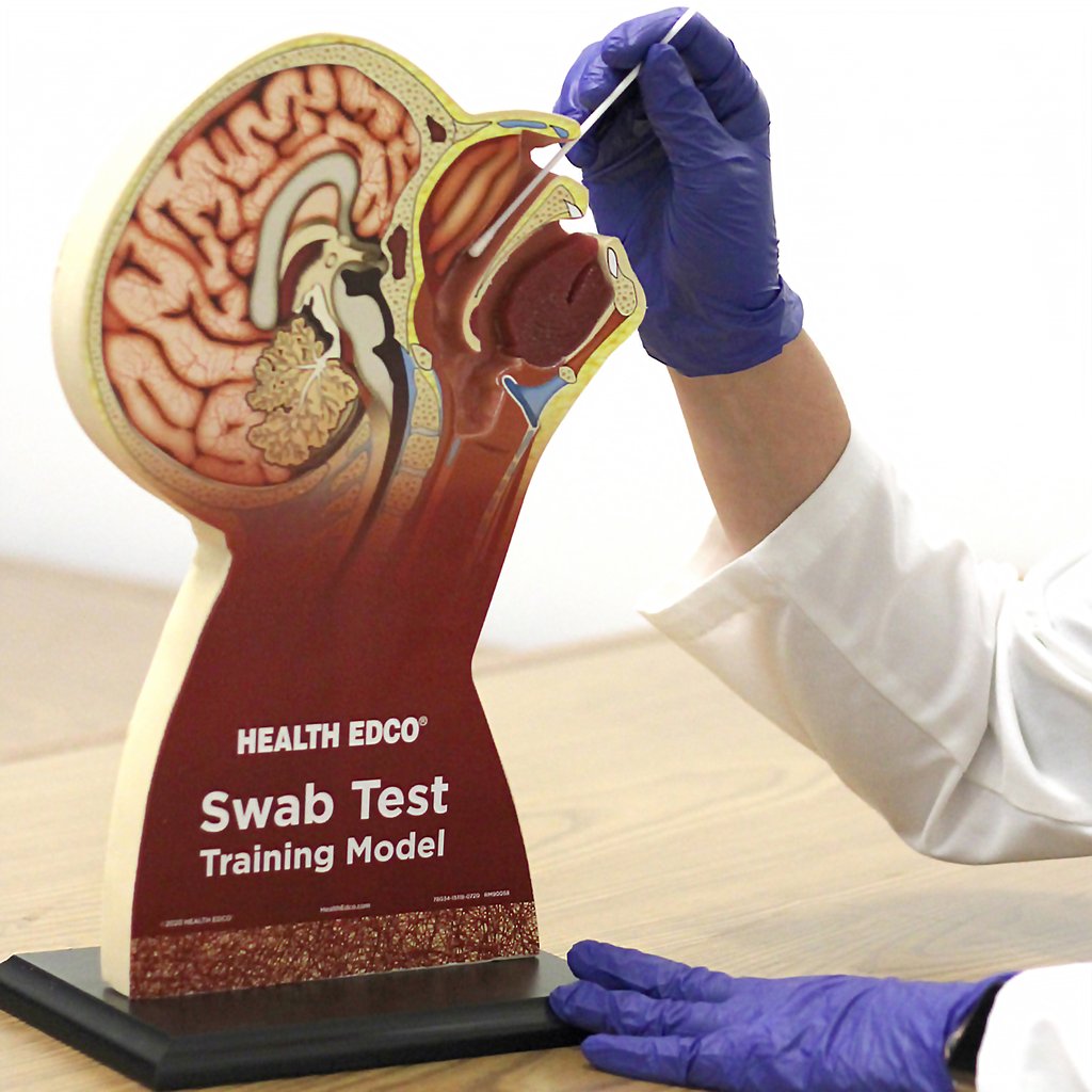 Covid Nose Swab Model