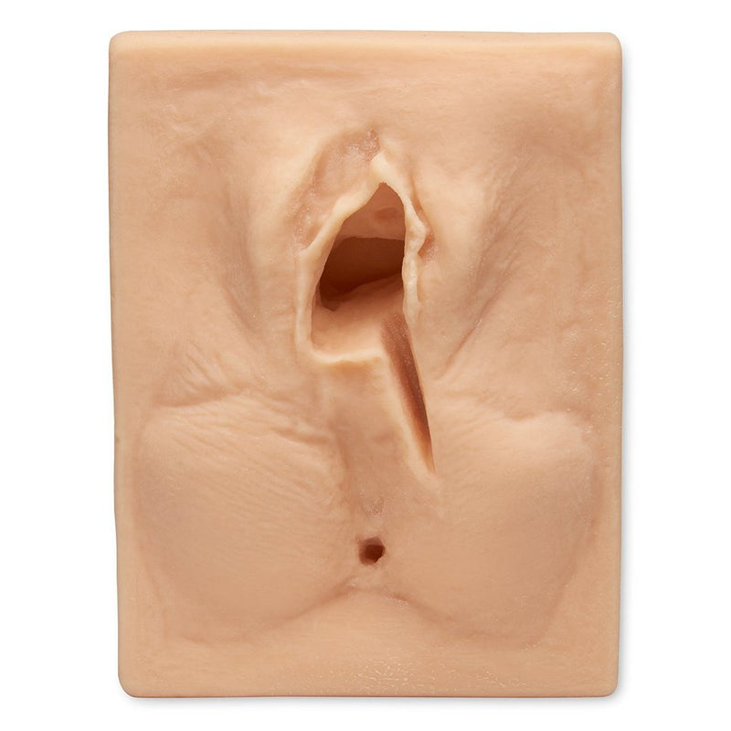 Left Medilatrl Suture Sim