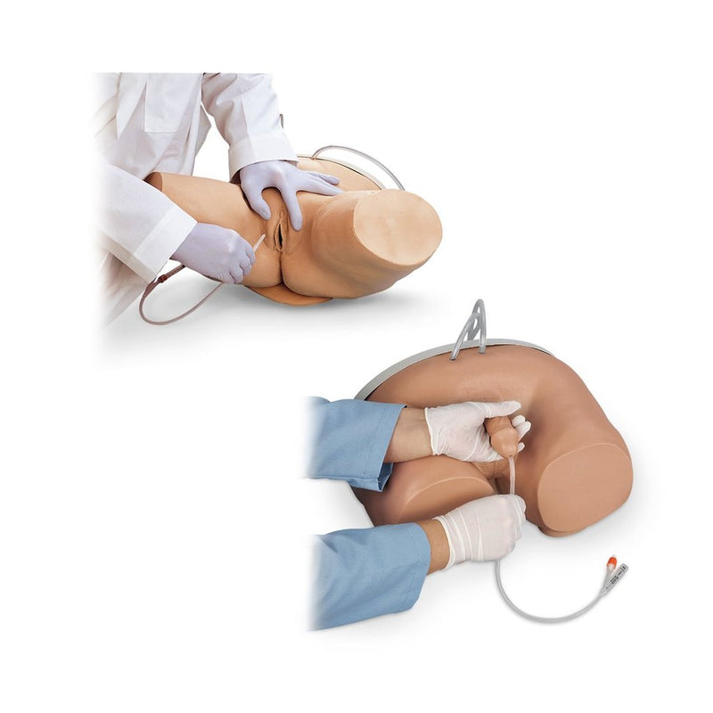 Male and Female Catheterization Simulators
