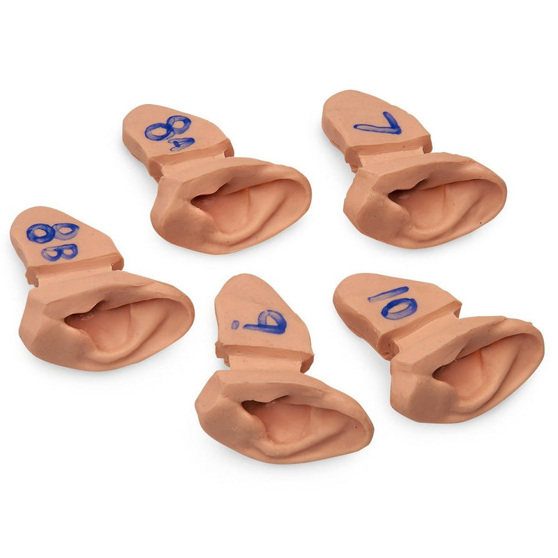 Ear Exam Supplementary Set