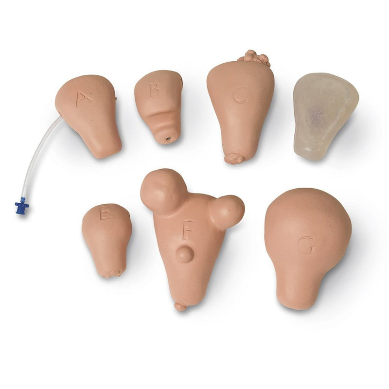 Uterus Repl,Set/7, Pelv Ex