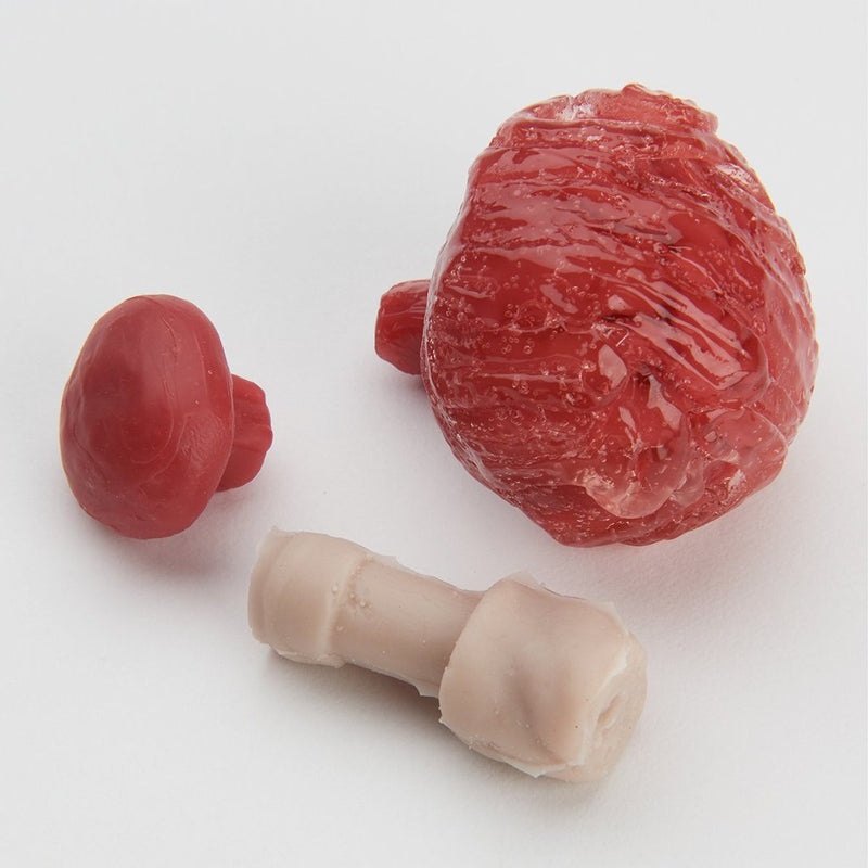 Micro-Preemie Repl Kit