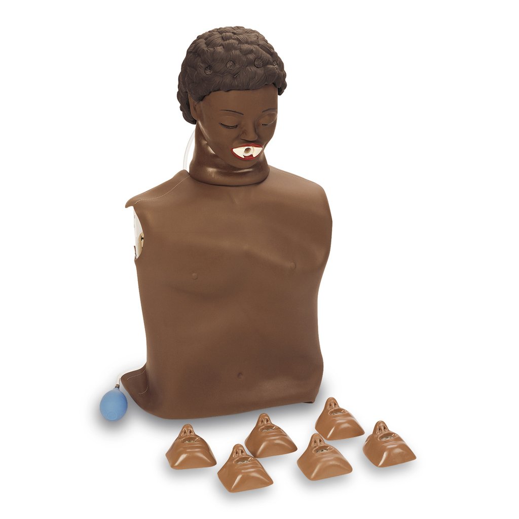Torso Basic Molded Hair Dk