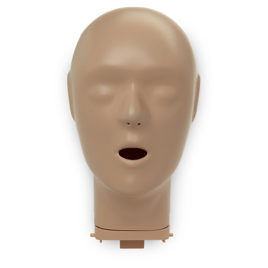 Head Assembly/Tan 3026-117
