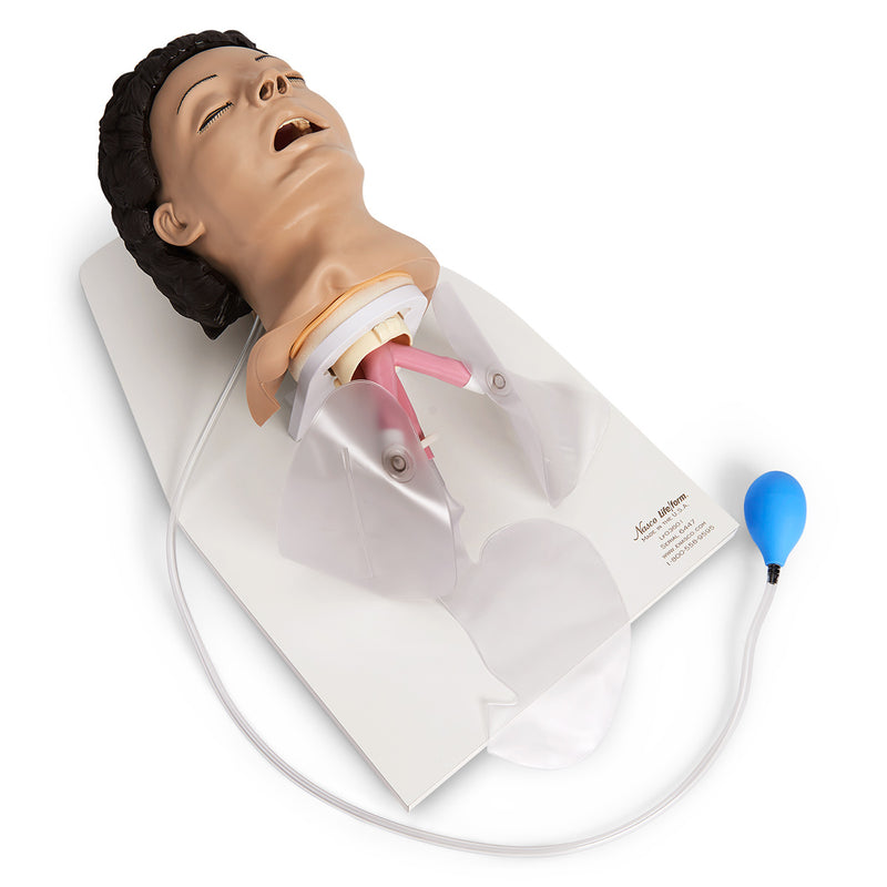 Life/form Adult Airway Management Trainer with Stand