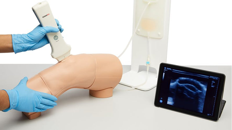 Knee Aspiration & Injection Trainer with Ultrasound Capabilities