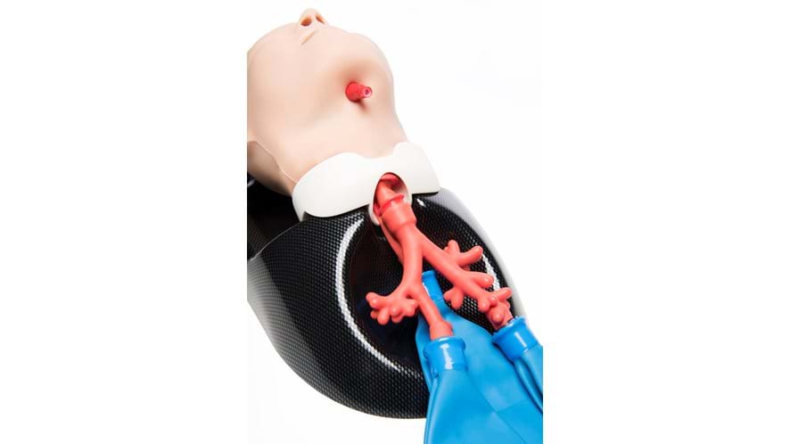 AirSim Child Bronchi X